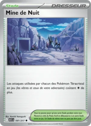 carte pokemon mine de nuit 197/217