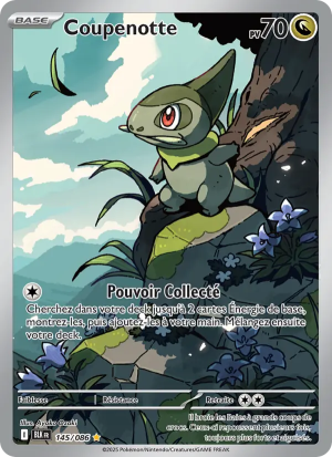 Carte Pokémon 145/086 – Foudre Noire