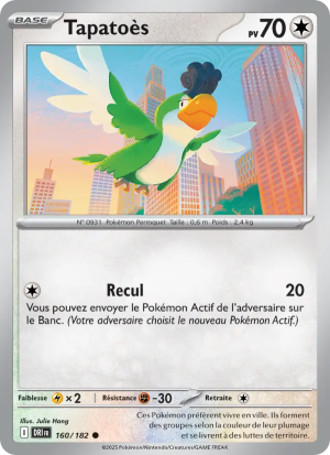 Carte Pokémon Tapatoès 160/182 – Rivalité Destinée