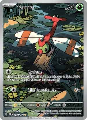 Carte Pokémon 183/182 – Rivalité Destinée