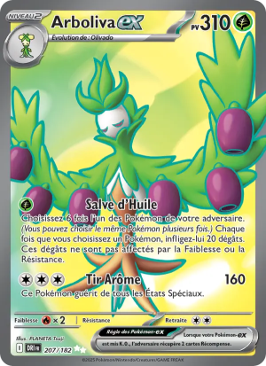 Carte Pokémon 207/182 – Rivalité Destinée