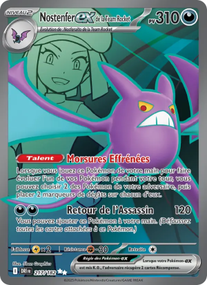 Carte Pokémon 217/182 – Rivalité Destinée