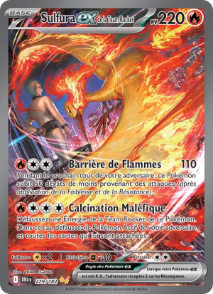 Carte Pokémon 229/182 – Rivalité Destinée