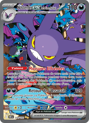 Carte Pokémon 234/182 – Rivalité Destinée