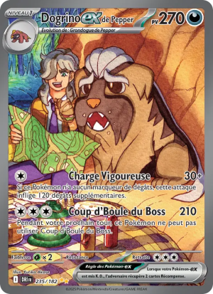 Carte Pokémon 235/182 – Rivalité Destinée