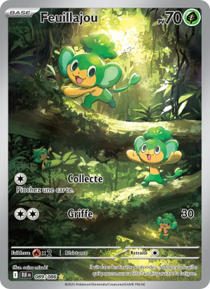 Carte Pokémon 089/086 – Foudre Noire