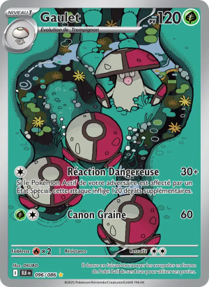Carte Pokémon 096/086 – Foudre Noire