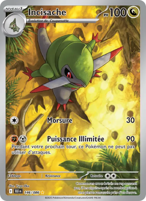Carte Pokémon 146/086 – Foudre Noire