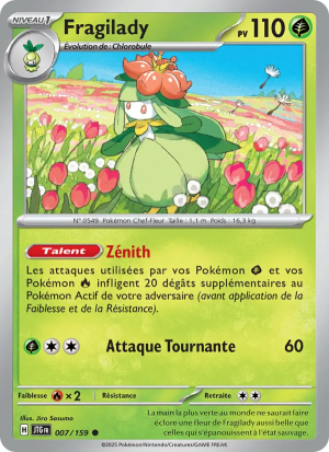 Carte Pokémon Fragilady 007/159 – Aventures Ensemble