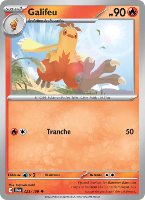 Carte Pokémon Galifeu 023/159 – Aventures Ensemble