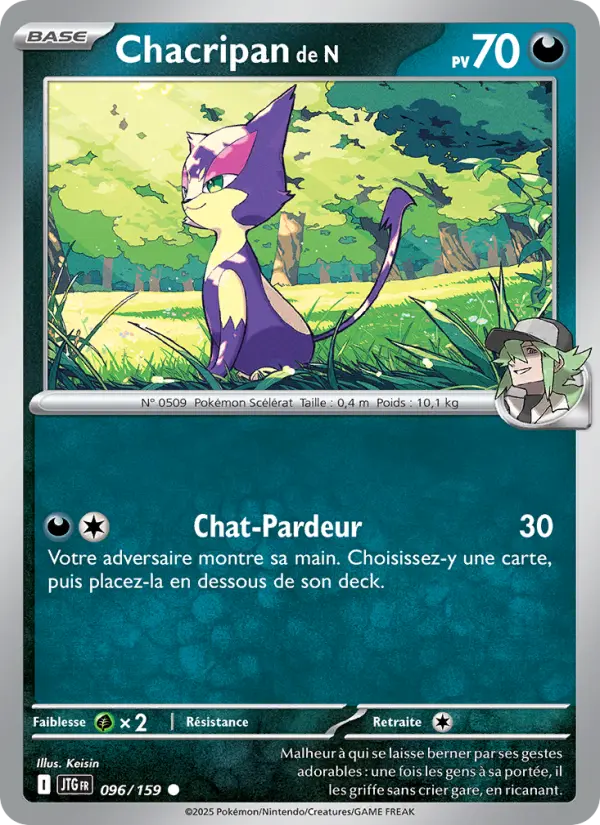 Carte Pokémon Chacripan de N 096/159 – Aventures Ensemble