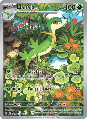 Carte Pokémon 088/086 – Foudre Noire