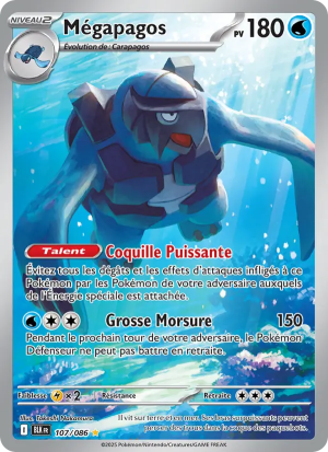 Carte Pokémon 107/086 – Foudre Noire