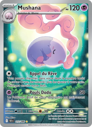 Carte Pokémon 117/086 – Foudre Noire