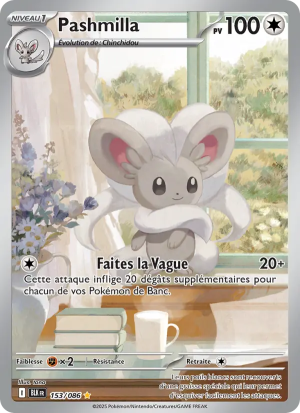 Carte Pokémon 153/086 – Foudre Noire