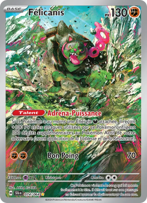 Carte Pokémon 074/064 – Fable Nébuleuse