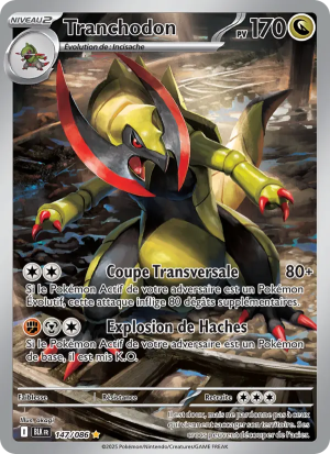 Carte Pokémon 147/086 – Foudre Noire