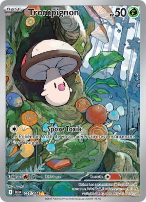Carte Pokémon 095/086 – Foudre Noire