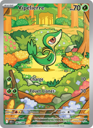 Carte Pokémon 087/086 – Foudre Noire