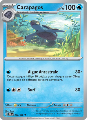 Carte Pokémon Carapagos 022/086 – Foudre Noire