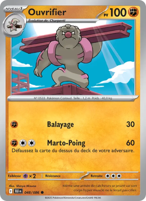 Carte Pokémon Ouvrifier 048/086 – Foudre Noire