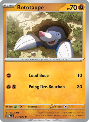 Carte Pokémon Rototaupe 045/086 – Foudre Noire